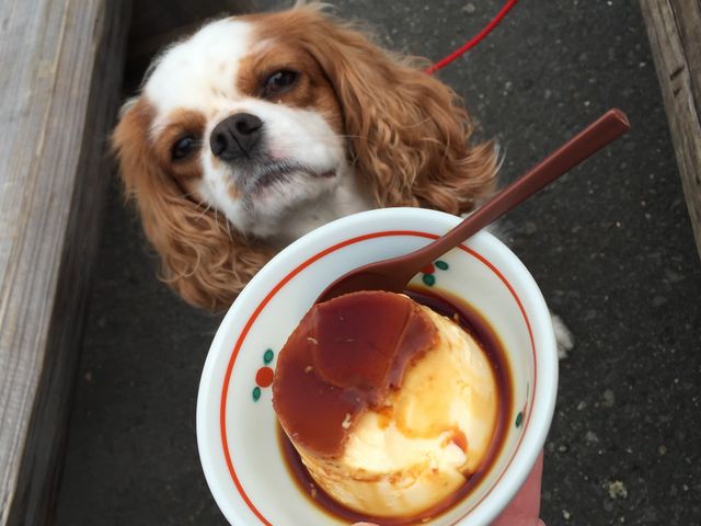 ̂̓LoAłB[[tvCɂȂ܂B_{X