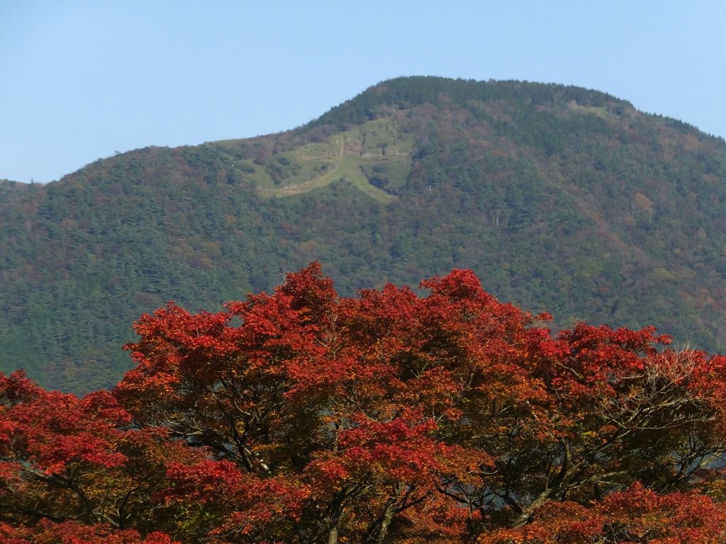 箱根強羅公園