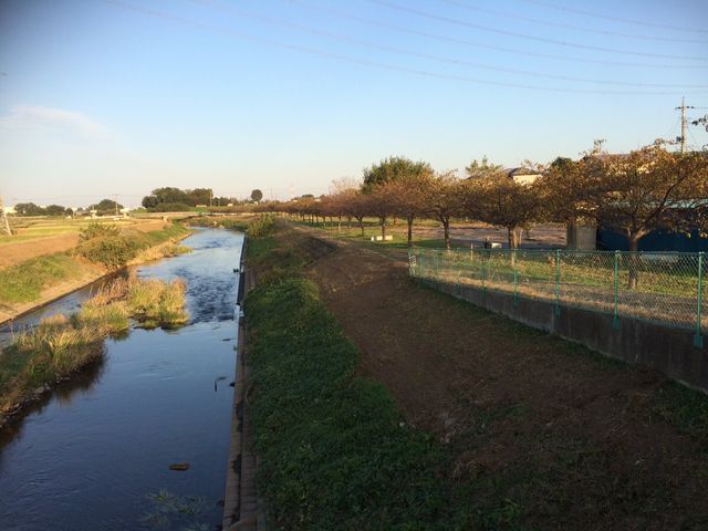 �쉈���̌i�F_���݂悵�͒Í�