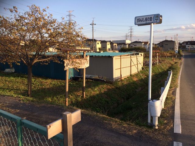 �����_���݂悵�͒Í�