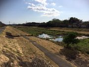 �J�Y����̂����ܐ�{���̓��e�ʐ^1