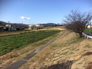 �J�Y����̂����ܐ�{���̓��e�ʐ^2