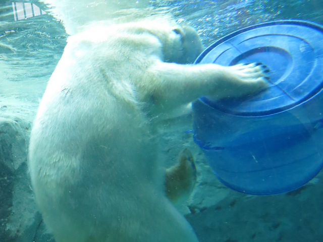 ���R������