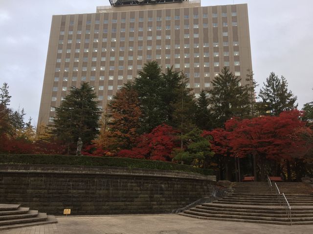 ���ڂ���p�`���I_���������