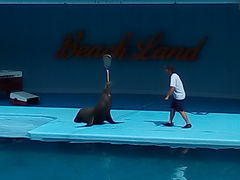 ڂ񂳂̓mr[`h&mቤւ̓eʐ^1