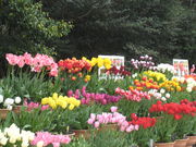 ݂񂳂̕Ɍt[Z^[̓eʐ^1