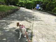 肦܂邳̋nCEFCEIAVX̓eʐ^2