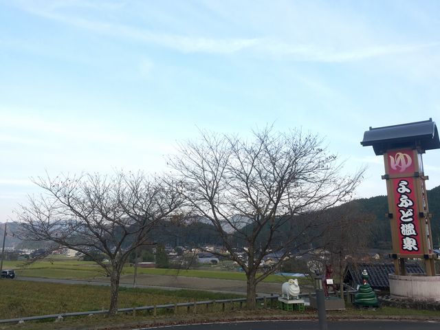 �i�F_��ӂǉ���