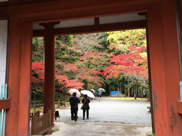 室生寺の紅葉 アクセス 営業時間 料金情報 じゃらんnet