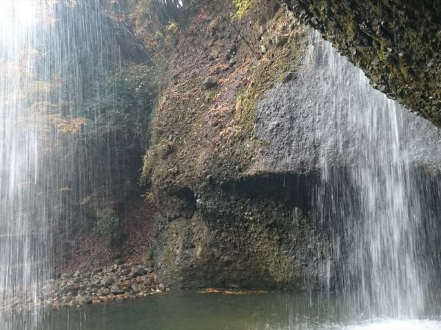 ��̗���_���҂̑���݂���