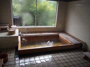 ǂ񂿂񂳂̗Mq̗ ̓eʐ^3