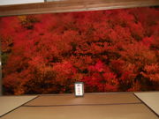 �V�I������̒A�n�������h�E�_���c�c�W�̓��e�ʐ^2