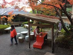 neko܂̋S{p[NzeYւ̓eʐ^1