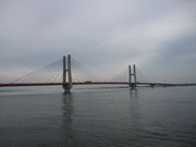 ������񂳂�̒��q�勴�̓��e�ʐ^1