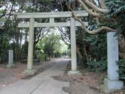 񂳂̓nC_Ђ̋ɑт̓eʐ^1