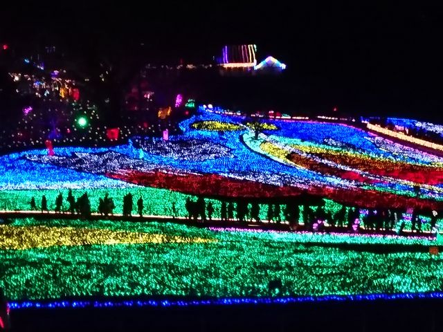 �C���~�l�[�V�����̒��ɐl�̕��т��e�݂����Ɍ����āA���z�I�ł����B_�����h�C�c��