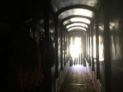 Sakamoto119̐MMR̓eʐ^8