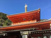 Sakamoto119̐MMR̓eʐ^15