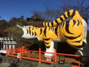 Sakamoto119̐MMR̓eʐ^17