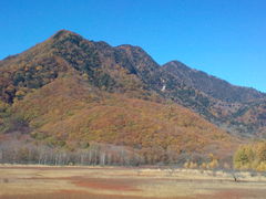 񂴂񂳂̏cKւ̓eʐ^1