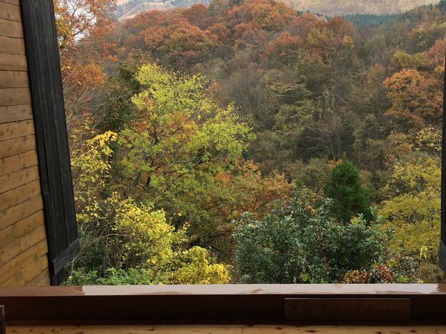 ���߂������ł���_�L��̓��@�W�]�I�V���C