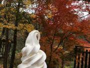 poporoñW[W[q Jbv̓eʐ^4