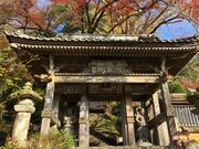 poporon̕xMi啪L㍂csj̓eʐ^3