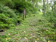 񂳂̐獑X̓S̊ὠeʐ^3