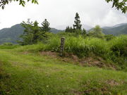 񂳂̐獑X̓S̊ὠeʐ^4