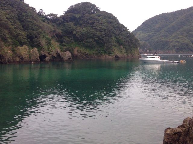 �c�q���l�C������