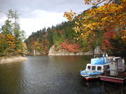 eoTLzbg̑ΗVD̓eʐ^1