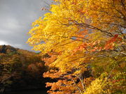 eoTLzbg̑ΗVD̓eʐ^3