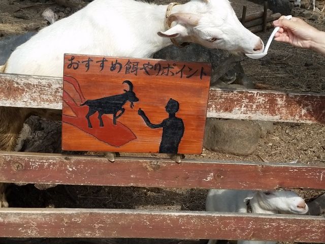 �ӂꂠ������_�H�g�䎩�R���������T�t�@�������h