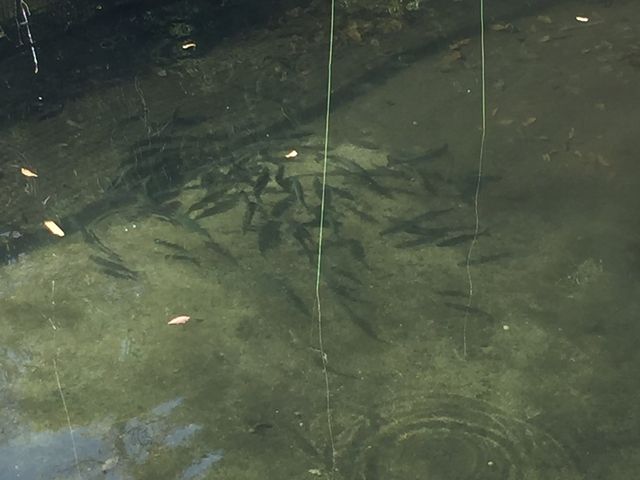 ł񂷂̖Ìk{όZ^[̓eʐ^3