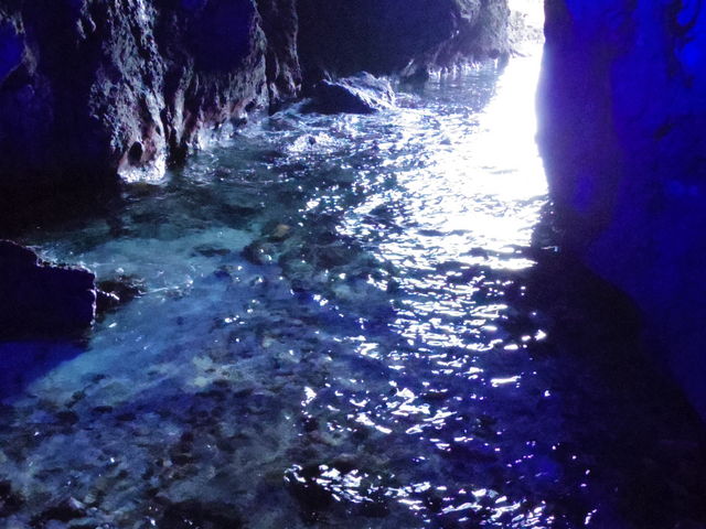 �FLED�̓��A_��F���i����̖��j