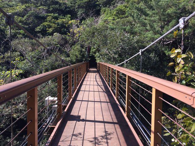 �݂苴���ō��n�__��n���V����