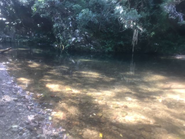 ���ӂ̃R�[�X_��n���V����