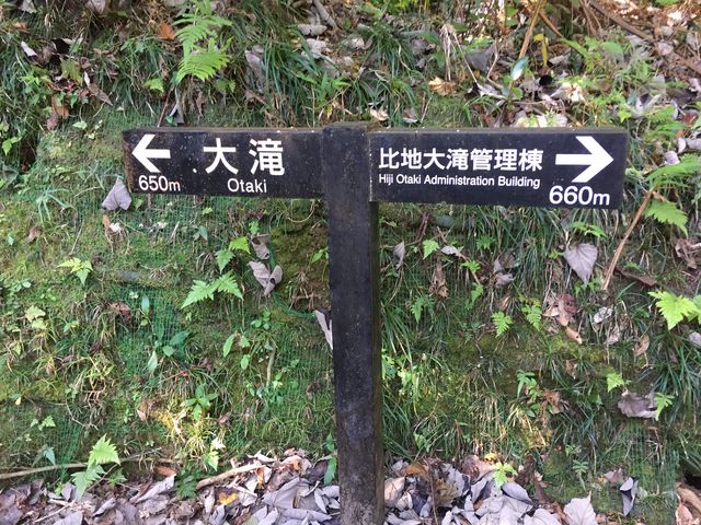 �قڒ��Ԓn�_�B�R�[�X�ŏ��߂đ�܂ł̋������\�������ꏊ�B�����܂ł������������B_��n���V����