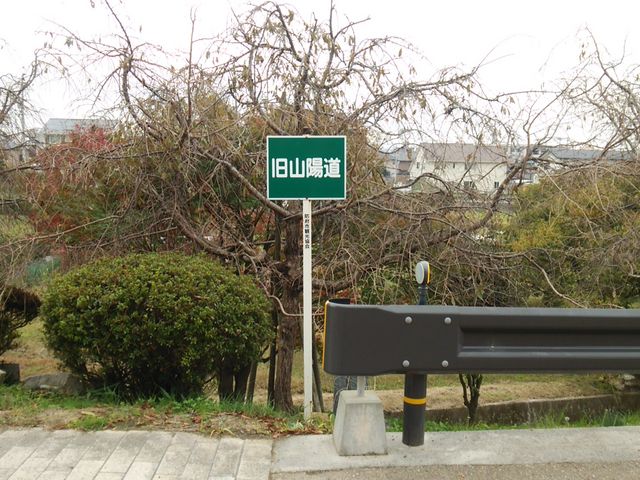 ��O�ɂ���ȊŔB�̂͊C�������������B_���g�_��