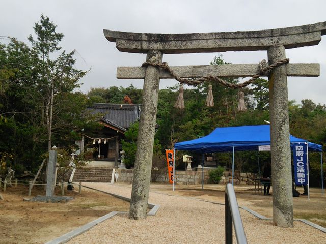 ��̒���_���g�_��