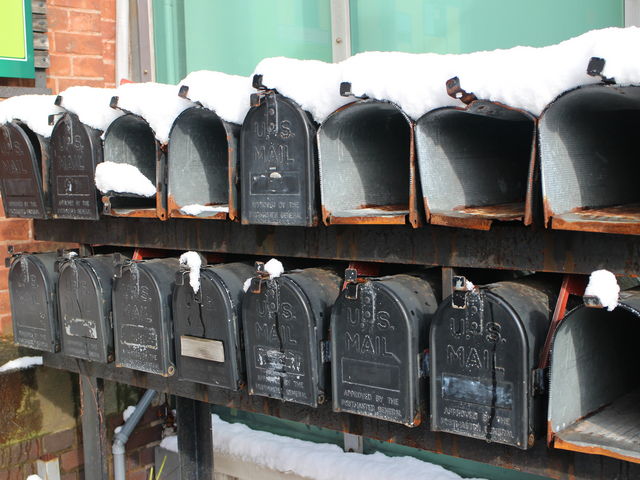 ���g���X�֎�_�͂����Ė�����