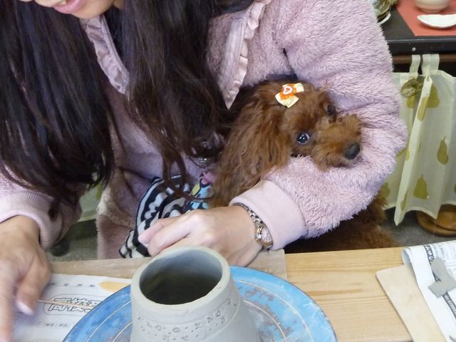 �����ƈꏏ�ɓ��|�I_��ӂ��� �x�ā@���Ɨq