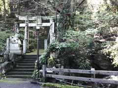三文詩人さんの岳神社への投稿写真1