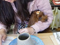 ؂񂳂̂ӂ xā@Ɨqւ̓eʐ^1