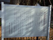 RbV[̑RԐ_Ђ̃C`E̓eʐ^1