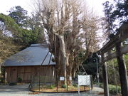 RbV[̑RԐ_Ђ̃C`E̓eʐ^2