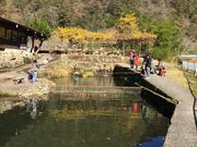 ł񂷂̖Ìk{όZ^[̓eʐ^1