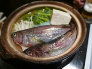 ]p̐Bc̎y݂Ђ̓eʐ^1