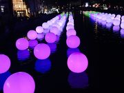 ݁[񂳂̐VEgی̓eʐ^1