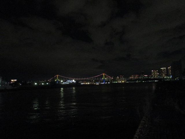 �e���X���烌�C���{�[�u���b�W������܂�_�}�O�����̃}�O�����̓X�i�g���~�t�B�b�V���[�Y�e���X- �Ƃ�Ă�j